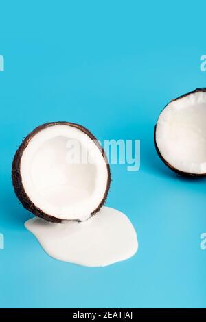 Coconut cream or butter with fresh coconuts on a blue background. White cream juice dripping from coconut. Stock Photo