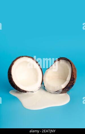 Coconut cream or butter with fresh coconuts on a blue background. White cream juice dripping from coconut. Stock Photo