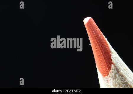 Macro view of the tip of the pencil on a black background. Stock Photo