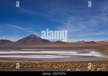 Laguna Colorada, Red Lagoon, a shallow salt lake in the altiplano of Bolivia, within Eduardo Avaroa Andean Fauna National Reserve, with a characterist Stock Photo