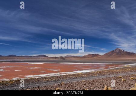 Laguna Colorada, Red Lagoon, a shallow salt lake in the altiplano of Bolivia, within Eduardo Avaroa Andean Fauna National Reserve, with a characterist Stock Photo