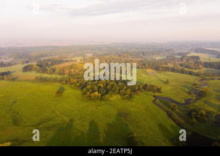 Trees casting long shadows on meadow with green grass in summer nature scene Stock Photo