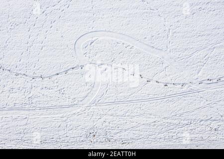 Snow covered winter landscape in Bavarian forest with traces of car tires sled footprints in deep snow, Germany Stock Photo