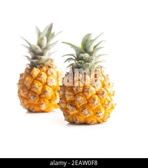 Ripe baby pineapple. Mini pineapple isolated on white background. Stock Photo