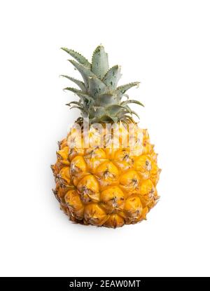 Ripe baby pineapple. Mini pineapple isolated on white background. Stock Photo
