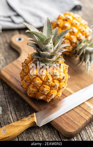 Ripe baby pineapple. Mini pineapple. Stock Photo