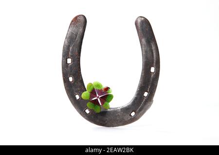 Horseshoe with lucky clover on a white background Stock Photo