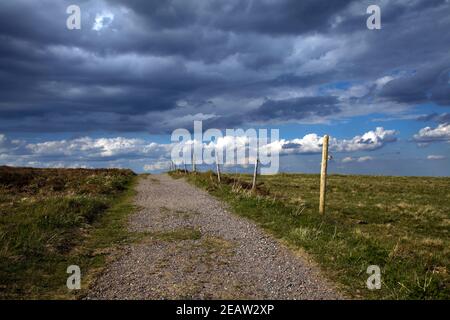 lonely way on the Feldberg in the Black Forest