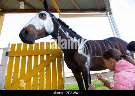 Girl with watercolors paints a skeleton on a horse to celebrate Halloween Stock Photo