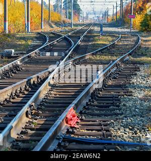 Railway station in a beautiful autumn forest with colorful trees. Stock Photo