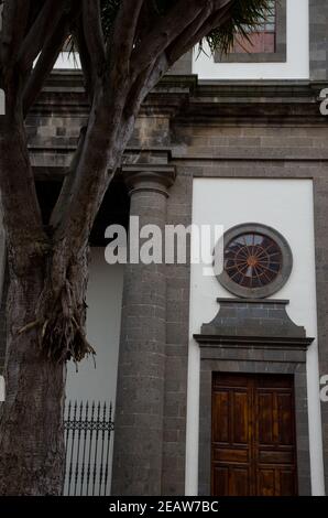 Detail of the church-cathedral of Los Remedios and Canary Islands dragon tree. Stock Photo