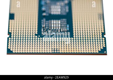 A macro photo of a modern CPU processor under the LGA 1200 socket on a green circuit board, isolated on a white background. Stock Photo
