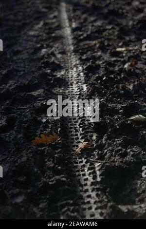 4 - Vertical image of bicycle tyre tread pattern in deep mud outdoors Stock Photo