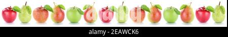 Apple pear fruits apples pears fresh fruit collection in a row isolated on white Stock Photo