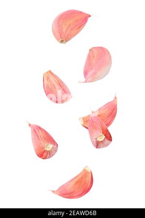 Garlic cloves isolated in the air on white background Stock Photo