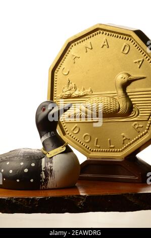 The Canadian Dollar Stock Photo
