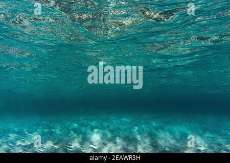 Underwater Bubbles, Under the Mediterranean Sea, Very Suitable Landscape  Picture for Backgrounds, Blue Background of Underwater Bu Stock Photo -  Image of transparent, natural: 221766678