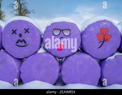 Funny faces on silage bales stored in a field near, Livingston, West Lothian. Stock Photo