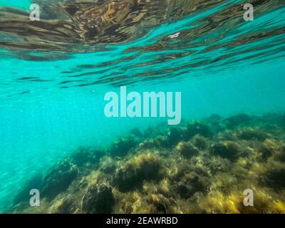 Underwater Bubbles, Under the Mediterranean Sea, Very Suitable Landscape  Picture for Backgrounds, Blue Background of Underwater Bu Stock Photo -  Image of transparent, natural: 221766678