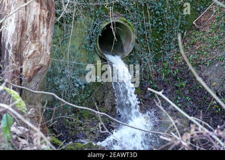 Regulated stream or brook coming from underground out of a large pipe in a small waterfall from a vertical wall which is covered with creeping plants. Stock Photo