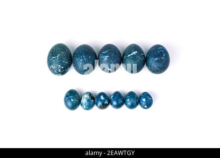 Two rows of chicken and quail eggs are marbled blue on a white background. Stock Photo