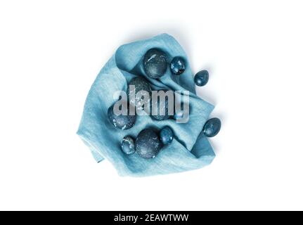 Quail and chicken eggs are marbled blue on a blue napkin isolated on a white background. horizontal. Stock Photo
