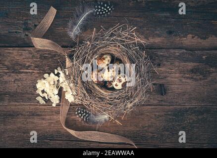 Nest with eggs on a wooden background. Top view, horizontally. Stock Photo