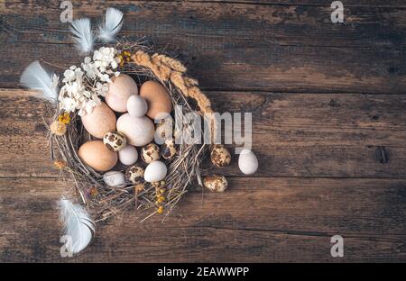 Chicken and quail eggs painted with natural dyes in a nest on a wooden background. Stock Photo