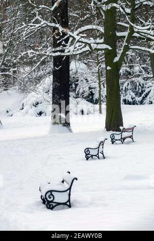 Park benches snow covered Stock Photo