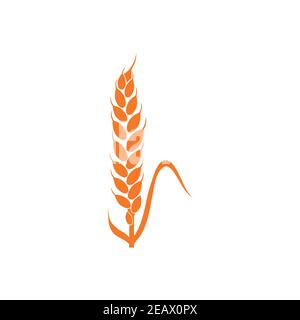 Wheat spikelets line icon. Wheat farm symbol. Liner style. Vector illustration. Stock Vector