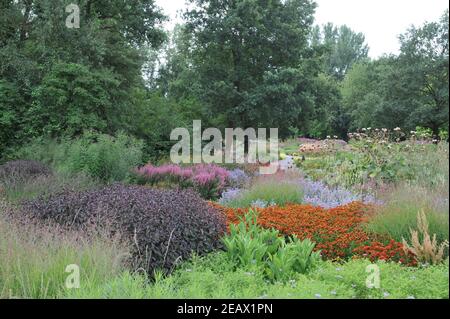 HAMM, GERMANY - 15 AUGUST 2015: Planting in perennial meadow style designed by Piet Oudolf in the Garden Art garden in the public park Maximilianpark Stock Photo