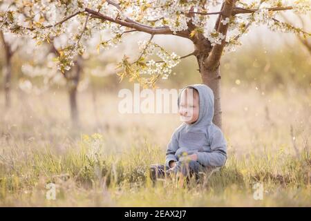 Little blond boy in gray sweatshirt with a hood on his head sits in green grass under flowering tree with white flowers, laughs. Weekend travel, picni Stock Photo