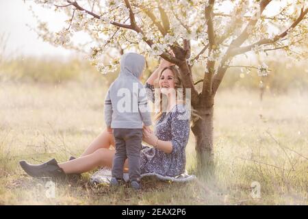 Young curly-haired mother hugs little son, sitting in the green grass near blooming white cherry tree. Family walk in the garden. Weekend rest outside Stock Photo