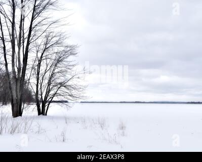Starkly beautiful frozen Canadian winter landscape by the Ottawa River at Petrie Island, Ottawa, Ontario, Canada. Stock Photo