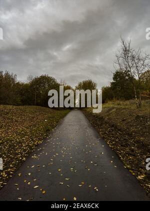 Plants gleaming under the cloudy and rainy sky Stock Photo - Alamy