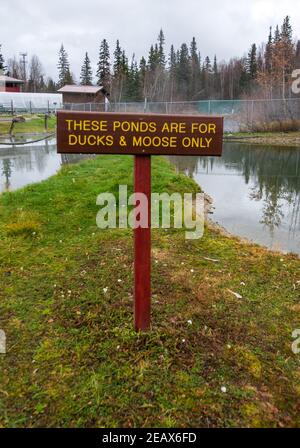 Sign reserves ponds for ducks and moose only at Chena Hot Springs Resort in Fairbanks, Alaska Stock Photo