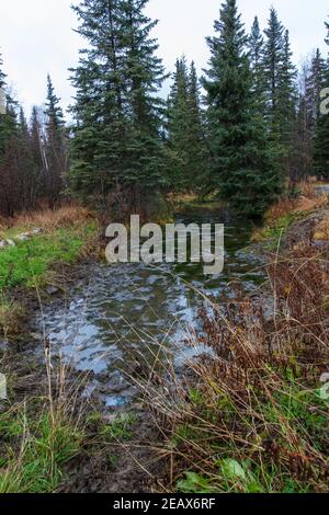 Chena Hot Springs Resort in Fairbanks, Alaska Stock Photo