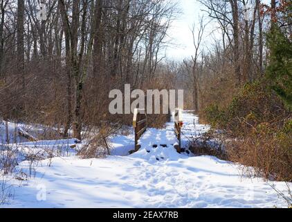 A walking path in the woods blanketed with snow after a winter storm in New Jersey Stock Photo