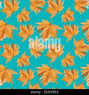 A beautiful orange leaf swims in clear turquoise water. Contrast. Autumn. Stock Vector