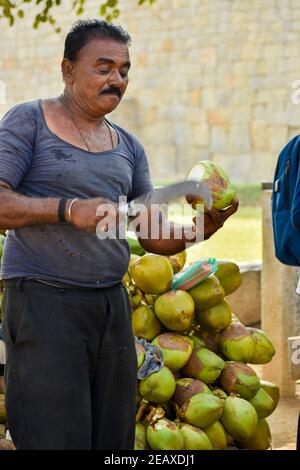 man cutting coconut with bill hook knife in Kerala Stock Photo