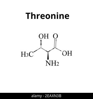 Threonine Molecular Structure. Threonine Skeletal Chemical Formula ...