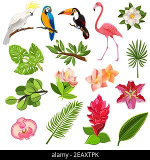 Exotic tropical leaves and parrots pictograms collection with orchids hibiscus and magnolia flowers buds abstract vector illustration Stock Vector