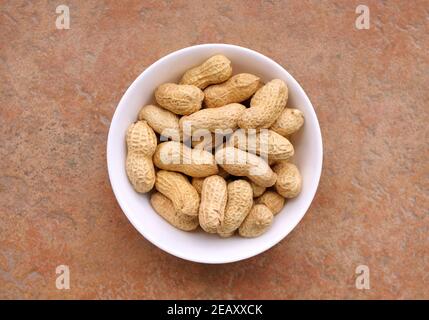 Round ceramic bowl of peanuts in shells. From above. Top view of dried peanuts in bowl. Healthy lifestyle concept. Stock Photo