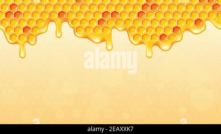 Dripping honey background with honeycomb. Vector illustration. Stock Vector