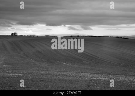 View across open farmland at Northam to the Cheviot Hills in the far distance, Northumberland, England, UK Stock Photo