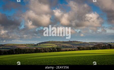 Cissbury Rings Iron Age hill fort viewed from Long Furlong, West Sussex, UK Stock Photo