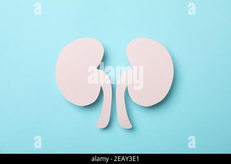 Pink decorative paper kidneys on a blue background, creative kidney health concept Stock Photo
