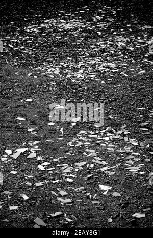 Broken glass pieces on the ground in black and white. Stock Photo