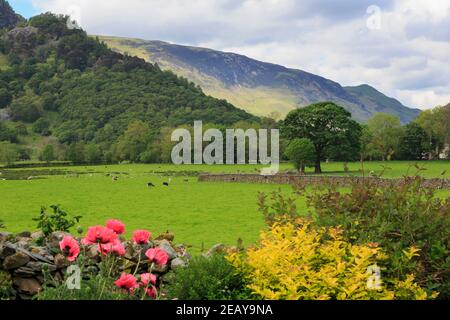 Borrowdale, Maiden Moor, and Catbells from Rosthwaite, Cumbria Stock Photo