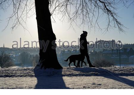 Edinburgh, Scotland, UK. 11th Feb 2021. People enjoying walking the dog on a Glorious sunny but freezing morning in a snow covered Inverleith park. View of Edinburgh Castle.  Credit: Craig Brown/Alamy Live News Stock Photo